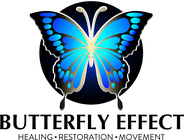 Butterfly Effect